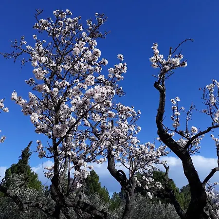Casa Pinza Apartment