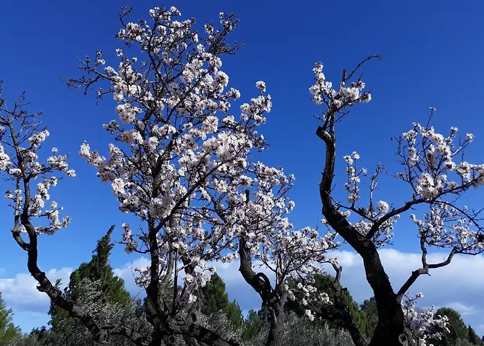 Casa Pinza Apartment